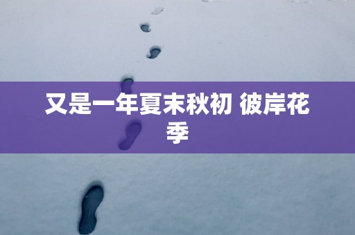 又是一年夏末秋初 彼岸花季