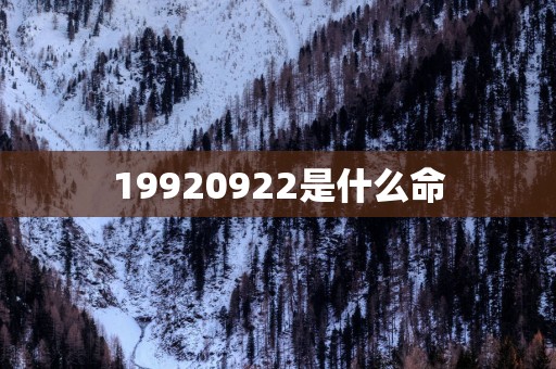 19920922是什么命