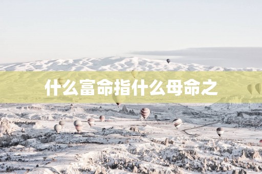 什么富命指什么母命之