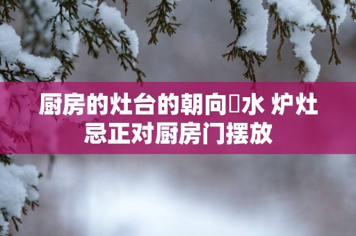 厨房的灶台的朝向風水 炉灶忌正对厨房门摆放