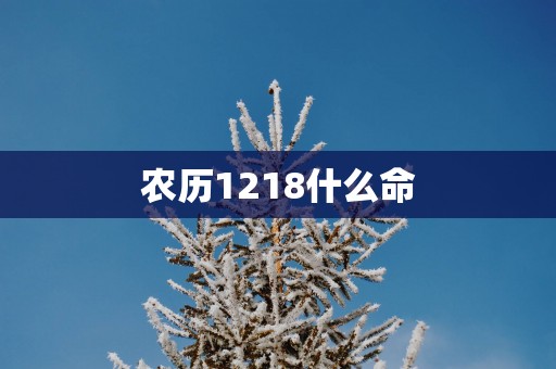 农历1218什么命