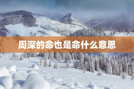 周深的命也是命什么意思