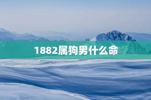 1882属狗男什么命