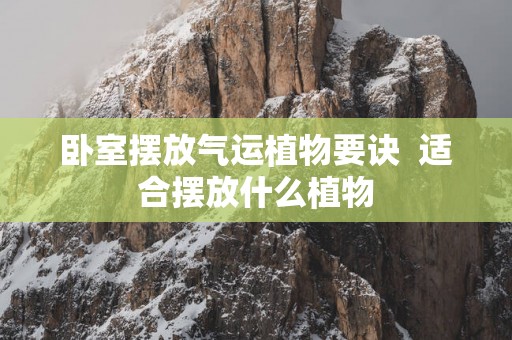 卧室摆放气运植物要诀  适合摆放什么植物