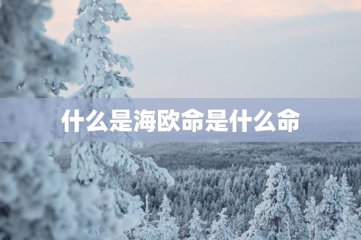什么是海欧命是什么命