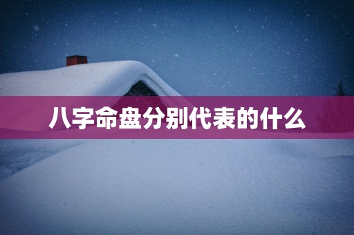 八字命盘分别代表的什么