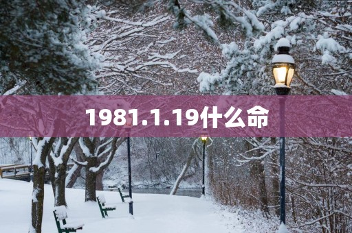 1981.1.19什么命