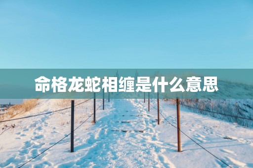 命格龙蛇相缠是什么意思