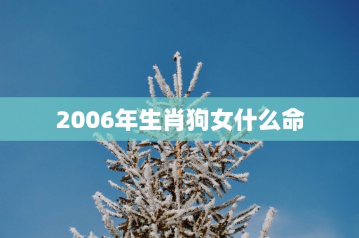 2006年生肖狗女什么命