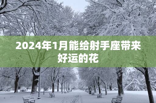 2024年1月能给射手座带来好运的花