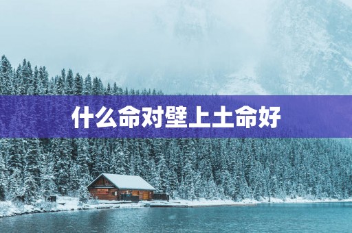 什么命对壁上土命好