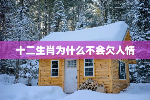 十二生肖为什么不会欠人情