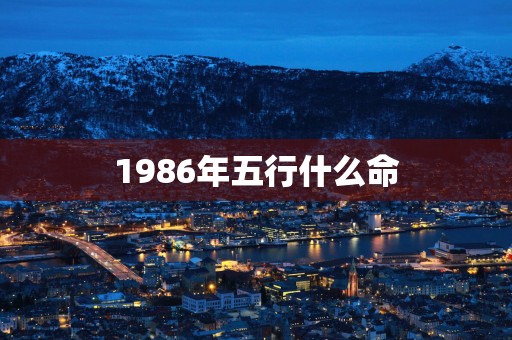 1986年五行什么命