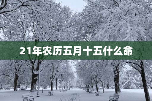 21年农历五月十五什么命
