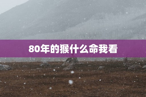80年的猴什么命我看