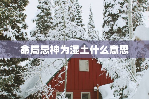 命局忌神为湿土什么意思