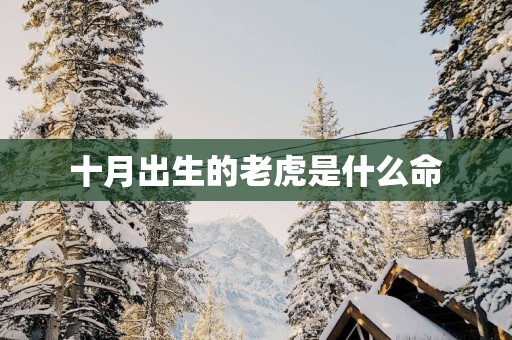 十月出生的老虎是什么命