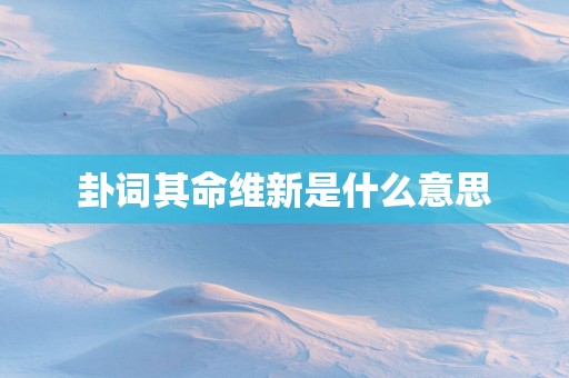 卦词其命维新是什么意思