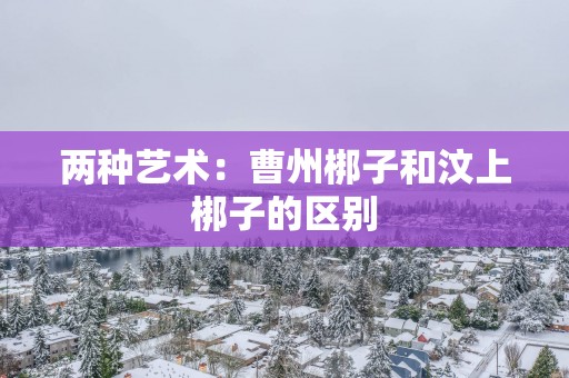 两种艺术：曹州梆子和汶上梆子的区别