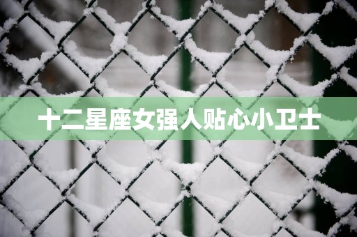 十二星座女强人贴心小卫士
