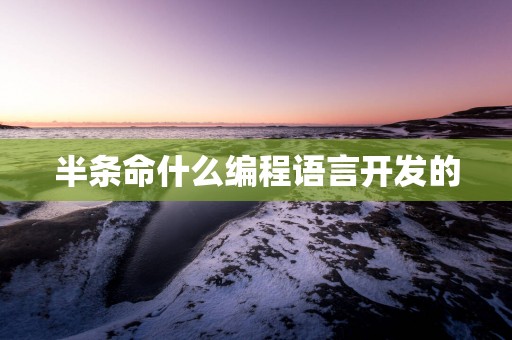半条命什么编程语言开发的