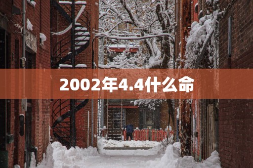 2002年4.4什么命