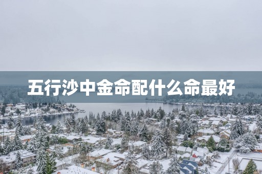 五行沙中金命配什么命最好