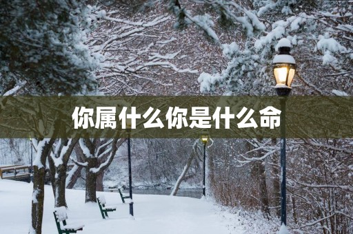 你属什么你是什么命