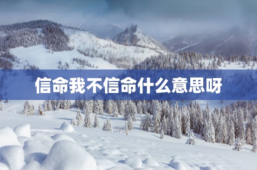 信命我不信命什么意思呀