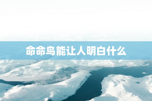 命命鸟能让人明白什么