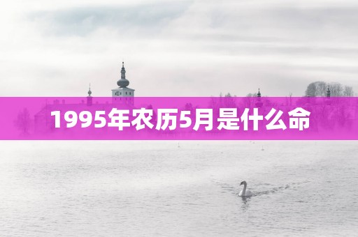 1995年农历5月是什么命
