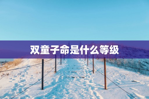 双童子命是什么等级