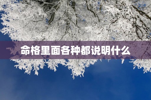 命格里面各种都说明什么