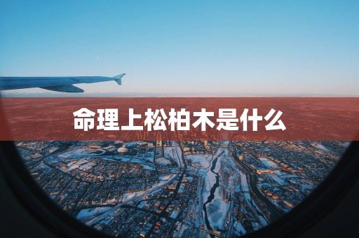 命理上松柏木是什么