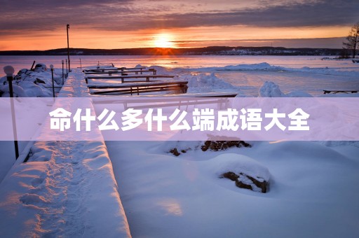 命什么多什么端成语大全