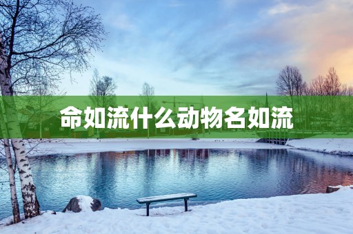 命如流什么动物名如流