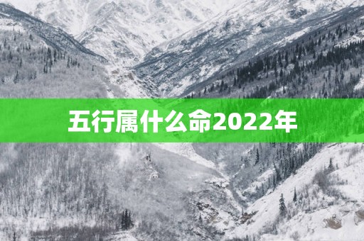 五行属什么命2025年