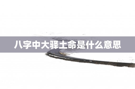 八字中大驿土命是什么意思