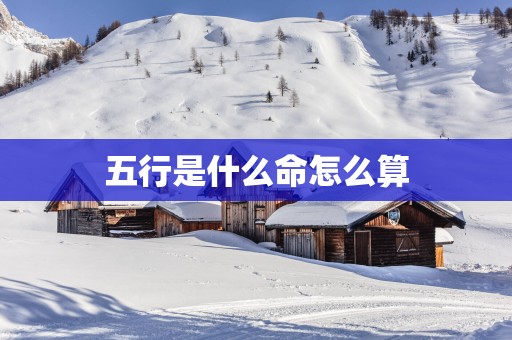 五行是什么命怎么算