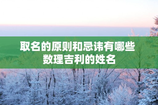 取名的原则和忌讳有哪些 数理吉利的姓名