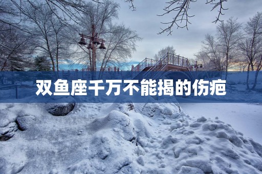 双鱼座千万不能揭的伤疤