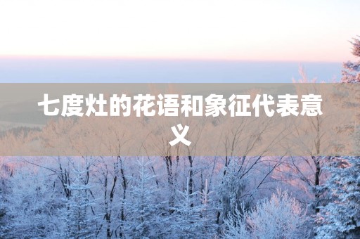 七度灶的花语和象征代表意义