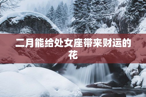 二月能给处女座带来财运的花