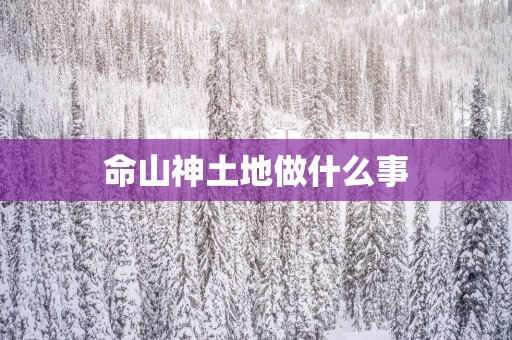 命山神土地做什么事