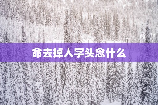 命去掉人字头念什么