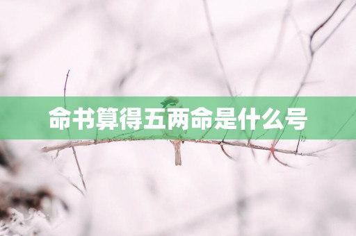 命书算得五两命是什么号
