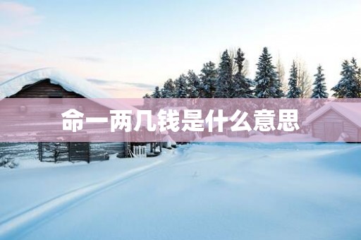 命一两几钱是什么意思