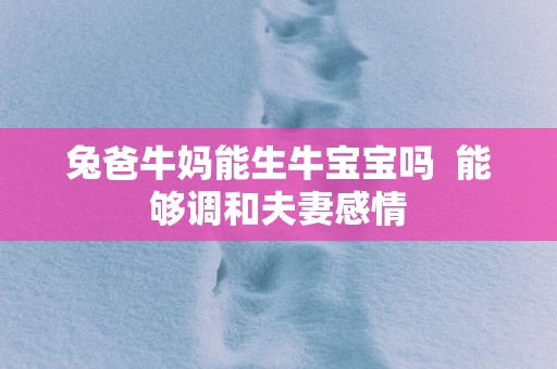 兔爸牛妈能生牛宝宝吗  能够调和夫妻感情