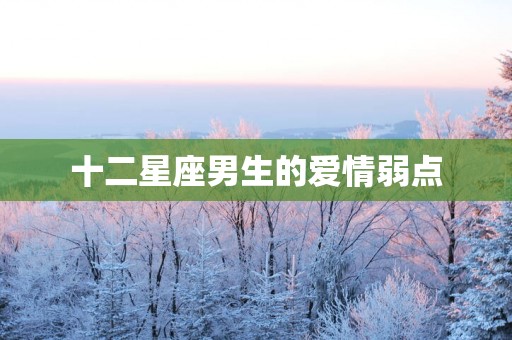 十二星座男生的爱情弱点