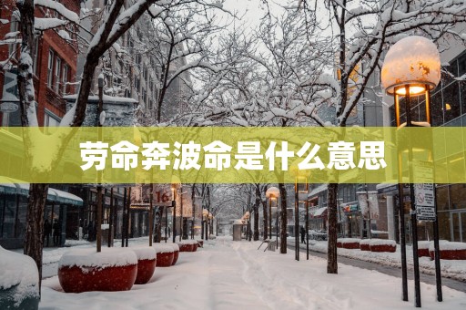 劳命奔波命是什么意思